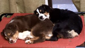 Titers Part Two: Immunity Without Vaccination?