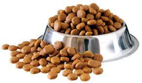 Should You Worry About Copper in Your Dog’s Food? — Updated!