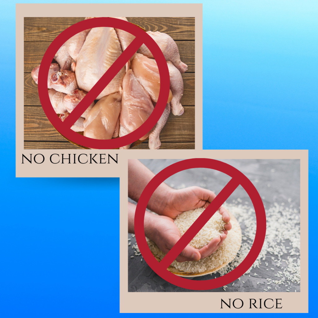Stop Feeding Your Dog Chicken and Rice!